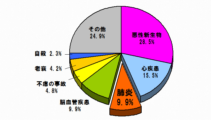 図1　日本人の死亡原因